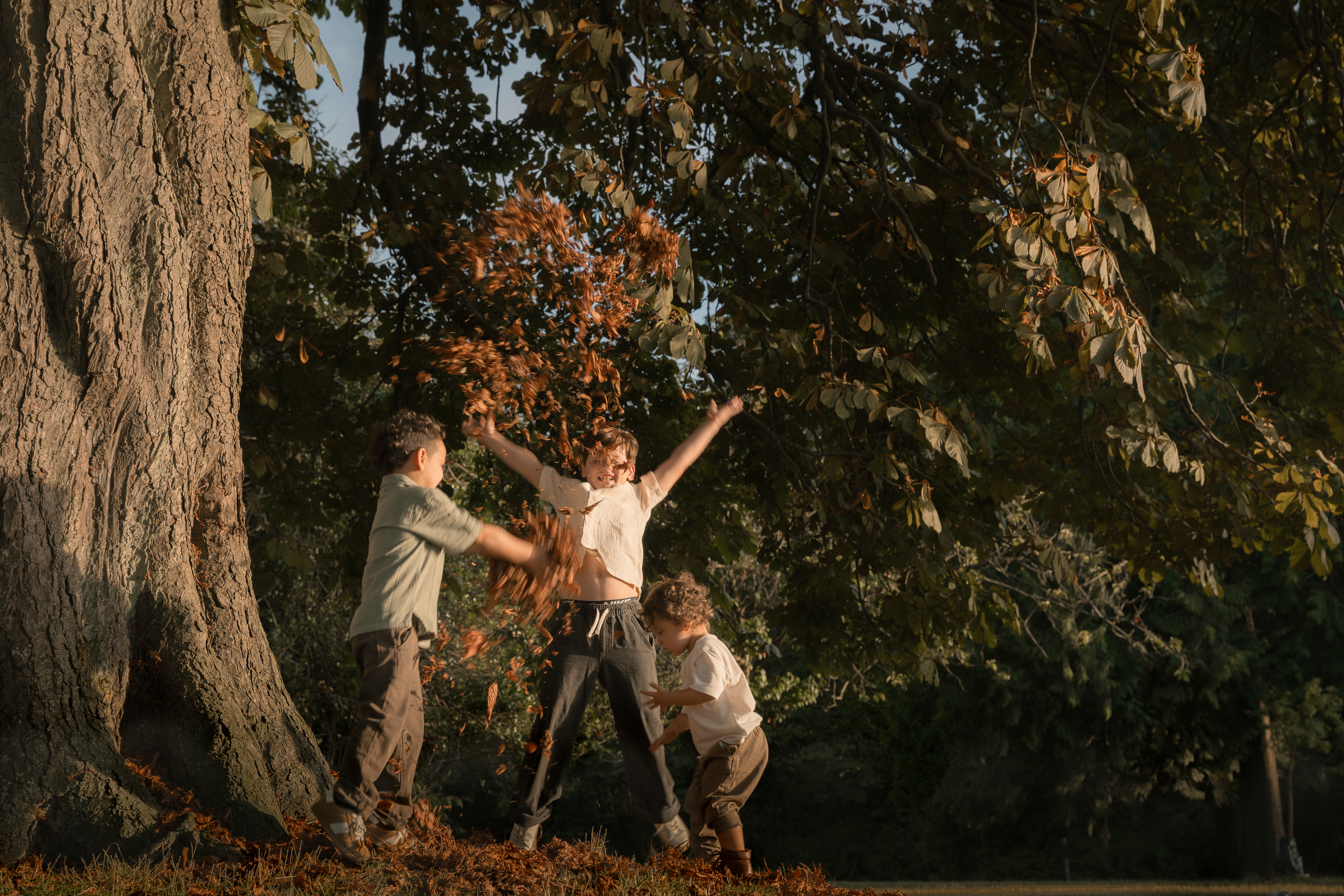 Children playing together beneath a large tree in golden light